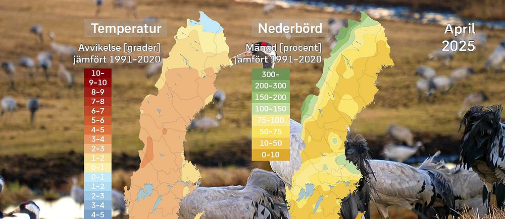 SVT:s meteorolog Per Stenborg sammanfattar det svenska aprilvädret 2025 på en och en halv minut.