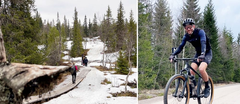 Delad bild – till vänster går människor på vandring längs en spång som smält fram i Sälen och till höger cyklar en person på en grusväg.