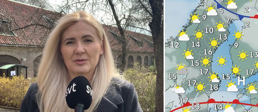 SMHI:s meteorolog framför väderkarta med sol över Västerbotten.