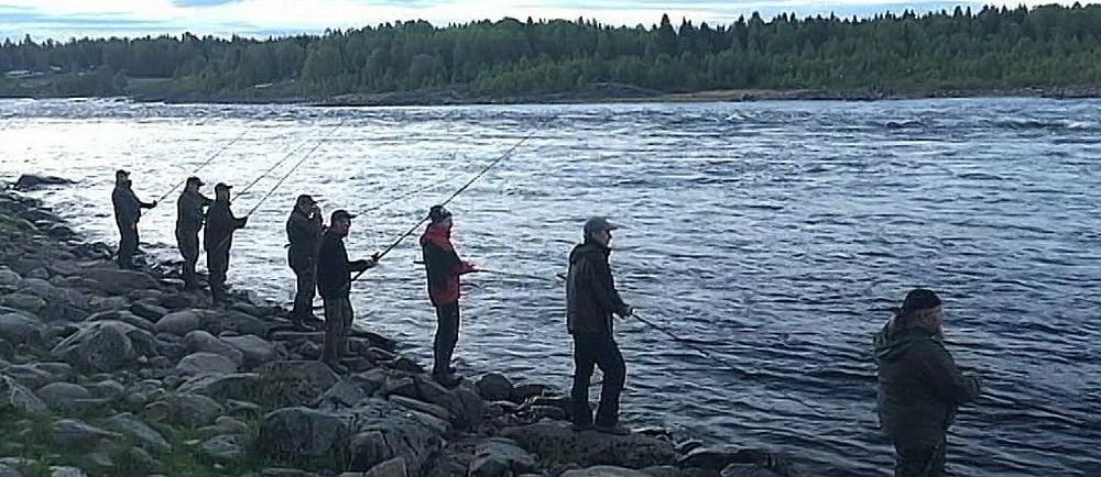 Personer fiskar vid Torneälven i skymningen.