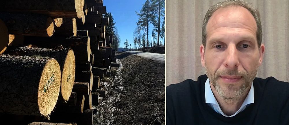 Delad bild. Till vänster: travar med timmer bredvid en väg. Till höger: person i mörk tröja framför gardin.