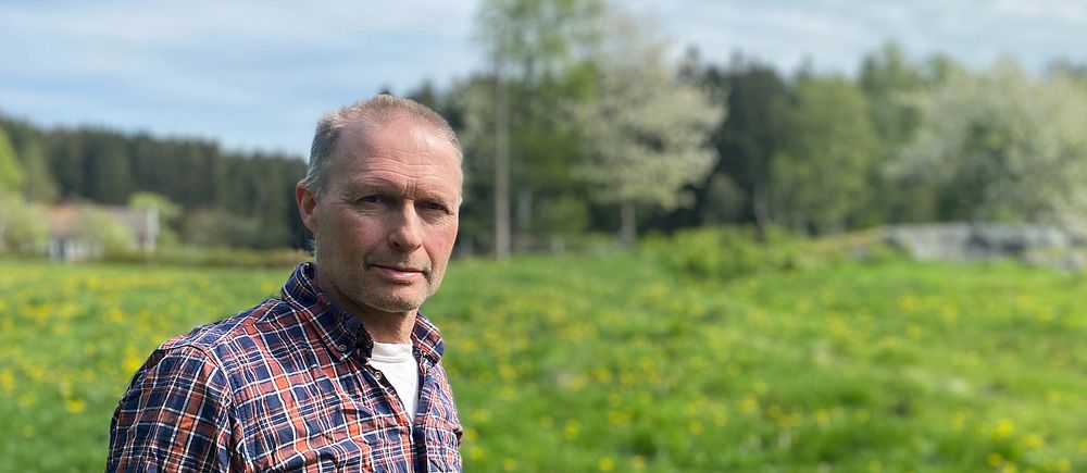 Mjölkbonden Per-Olof Nyström har ledningar från Ellevio där korna betar i Frillesås.