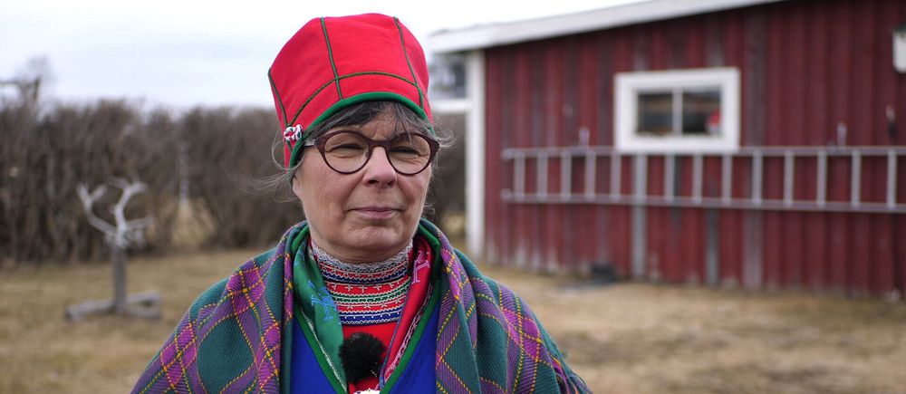 Marianne Gråik, Samelandspartiet