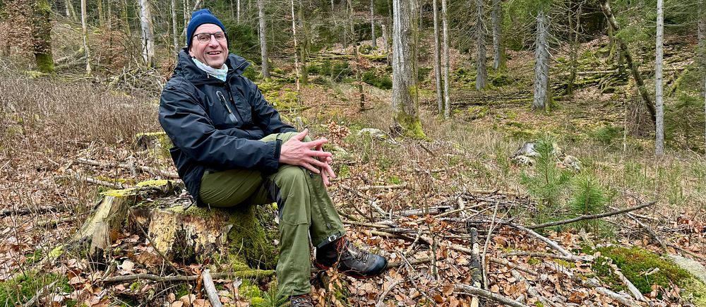 Man på stubbe