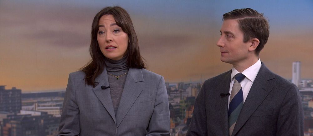 Politikexperter kommenterar SD:s utspel