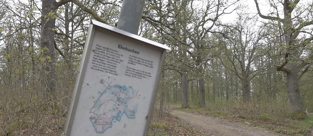 En död person har hittats i naturreservatet Ekebacken i Lessebo