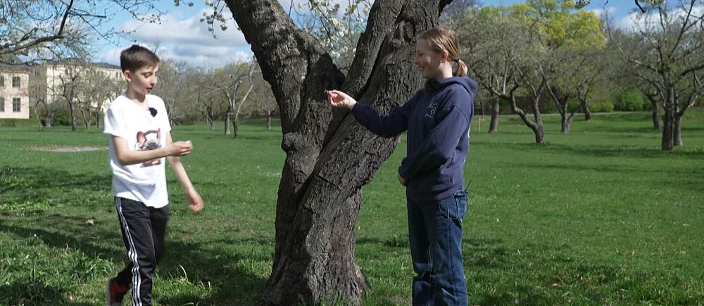 Thelise Nilsson och Lucas Andrée leker under ett träd i en park på våren. Men när pollensäsongen är som mest intensiv, väljer de ibland att leka inomhus i stället.
