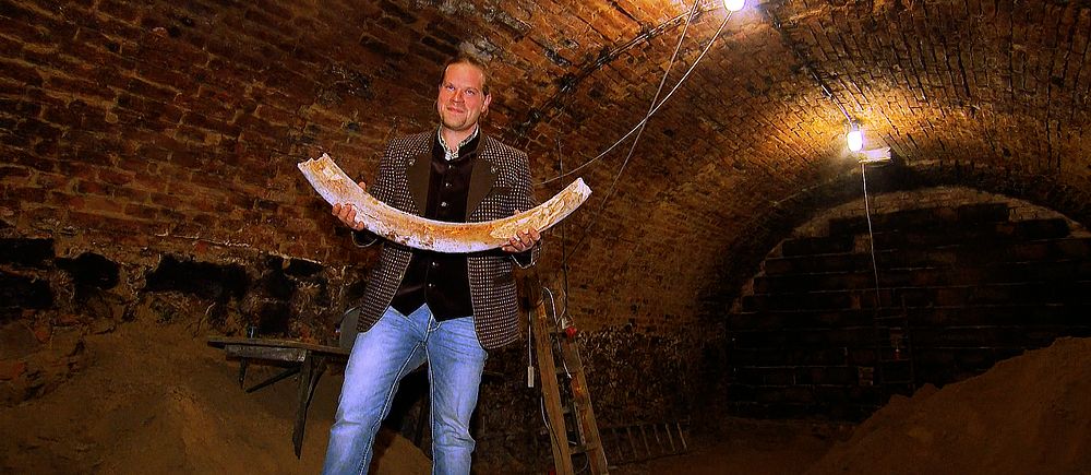 Flera tusenår gamla mammutben har hittats i en vinkällare i Österrike. Fyndet tros vara det största i sitt slag på över 100 år.