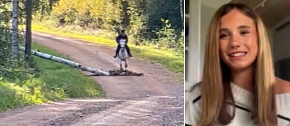 splitbild med träd som faller framför häst och med flicka till göher