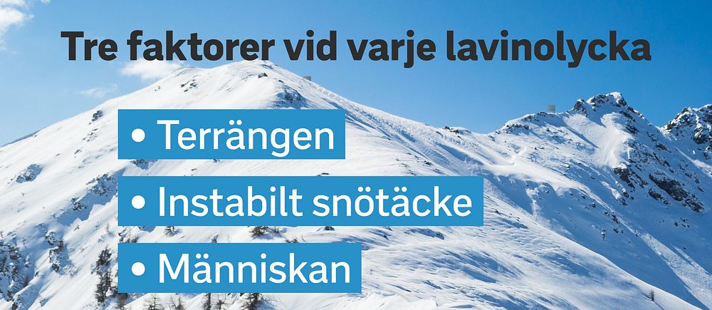 Faktorer vid lavinolycka