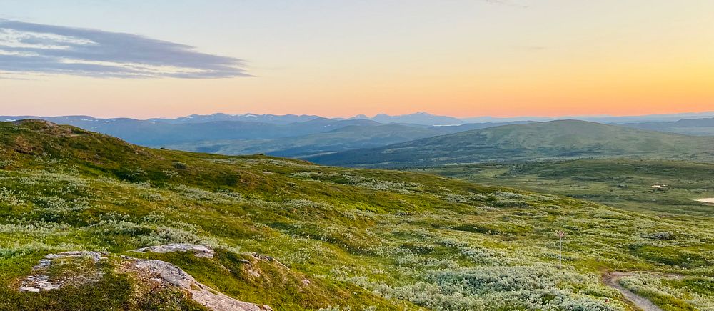 Fjällandskap i Trillevallen, Jämtland, med grönska och solnedgång 17 juli.