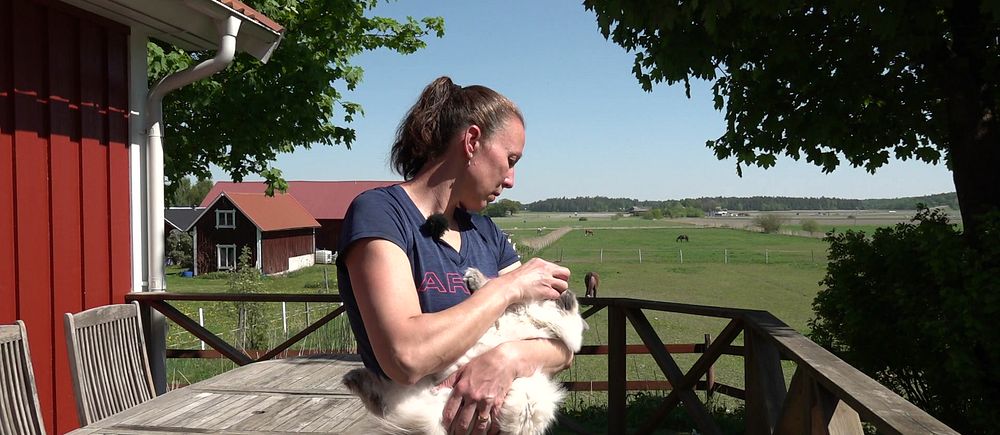 Kvinna på altan på landsbygden klappar katt