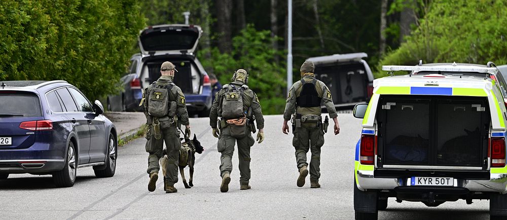 Tre tungt beväpnade poliser och en polishund patrullerar på en väg mellan parkerade bilar.