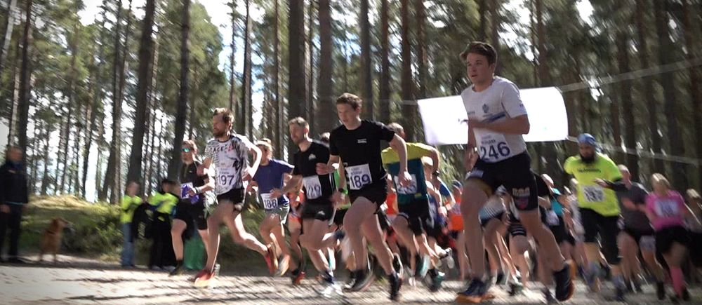 Cirka 140 deltagare startar i en löptävling på Andersön, i solig tallskog