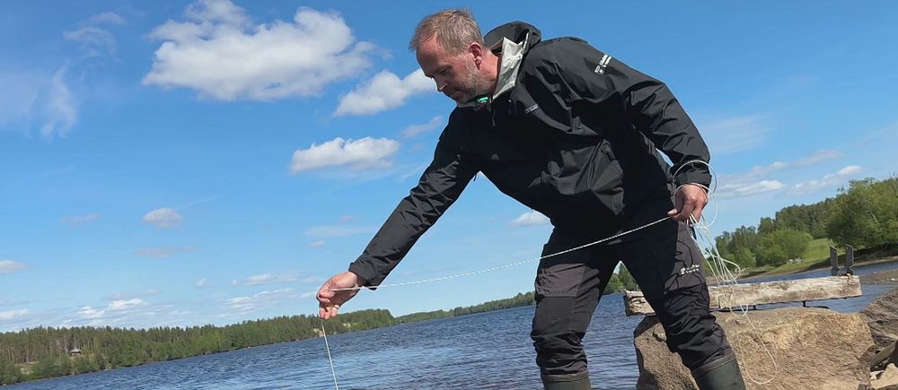 Fiskerikonsulenten Tony Söderlund kastar i en kräftbur i Skellefteälven.