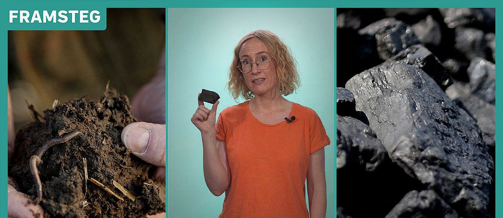 Så funkar biokol – och därför är det så bra på att ta upp föroreningar.