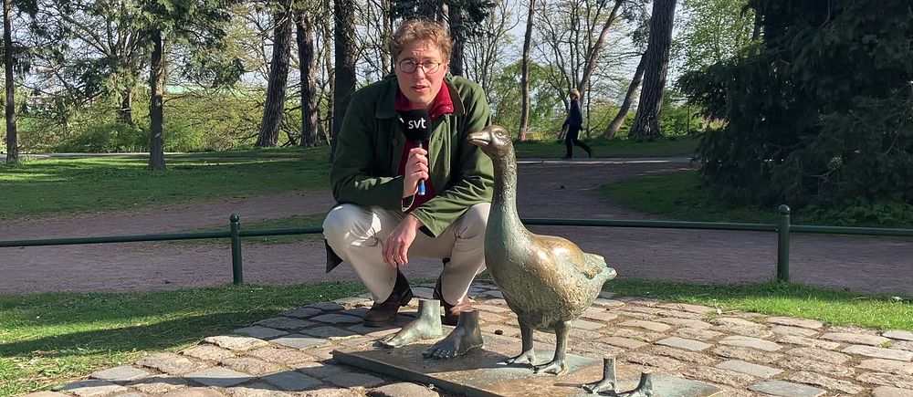Man håller mikrofon och sitter vid staty av vid vandaliserad staty av gås på stenlagd yta i park.