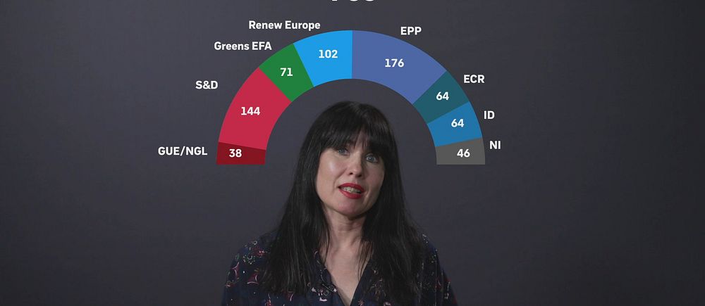 nainen ja grafiikka EU-parlamentin puolueryhmistä