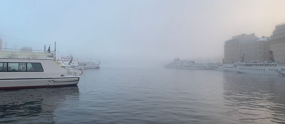 Vaxholmsbåtar i Nybroviken, dimma över vattnet.