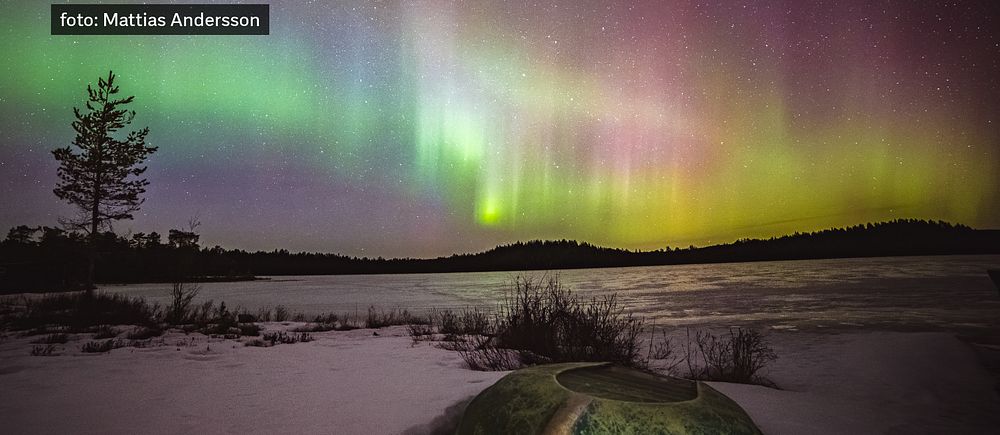Edsbyn, Hälsingland den 21/3.