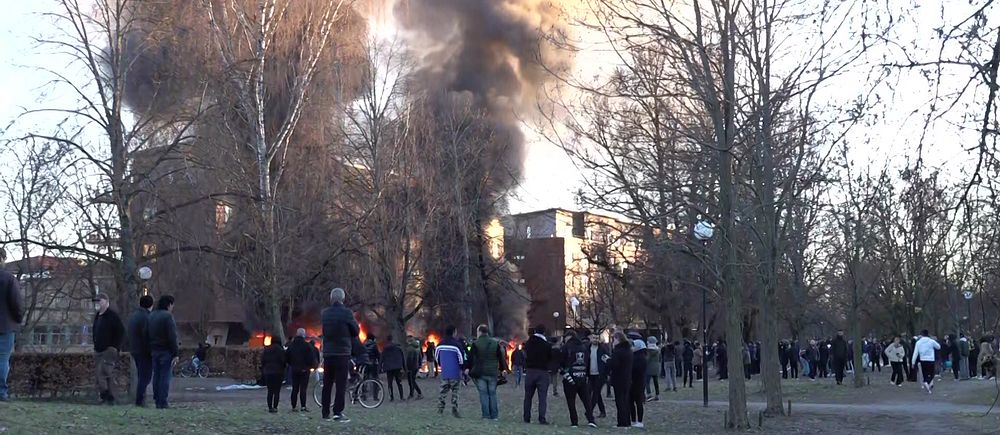 En grupp människor samlas utomhus nära stora brandrökpelare bland träd i en park.