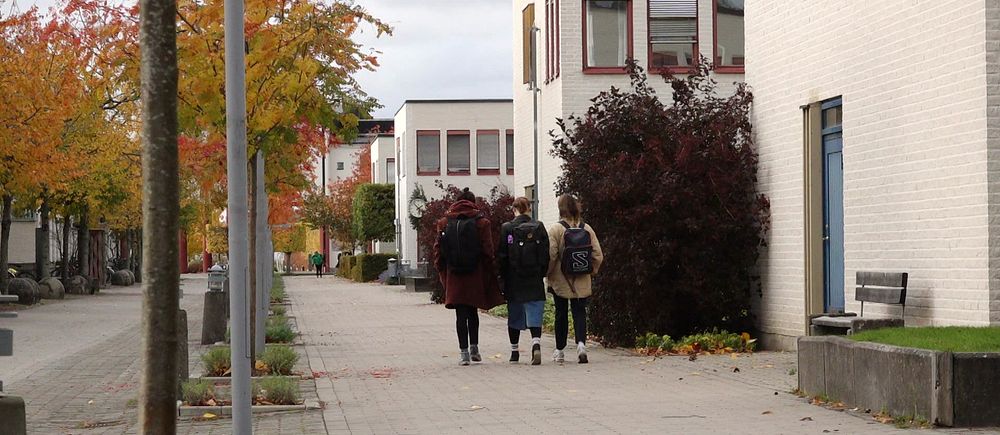 Tre personer går på höstligt universitetsområde, omgivna av färgglada träd och vita hus.