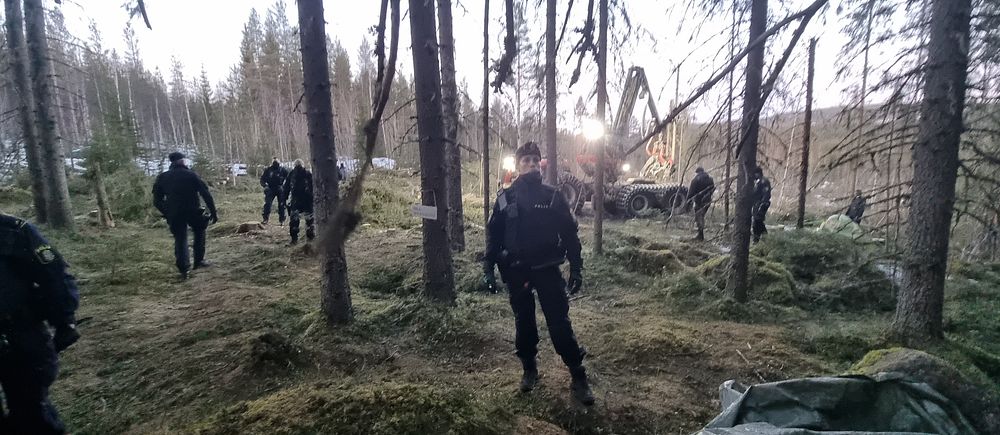 Poliser rör sig genom en skog.