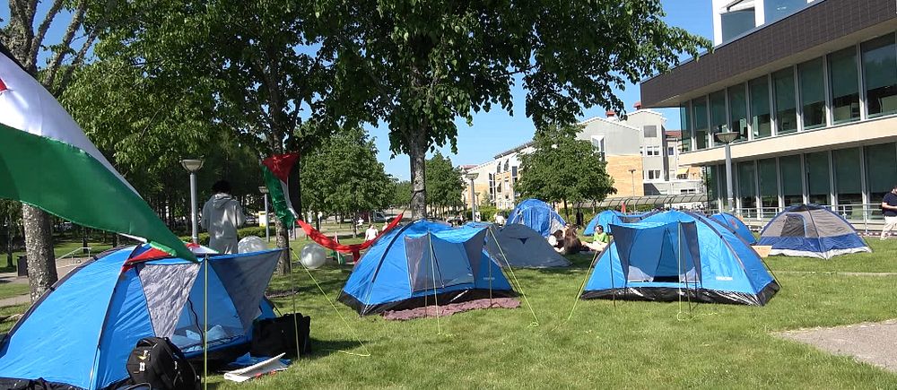 Några blå tält på en gräsmatta på campus