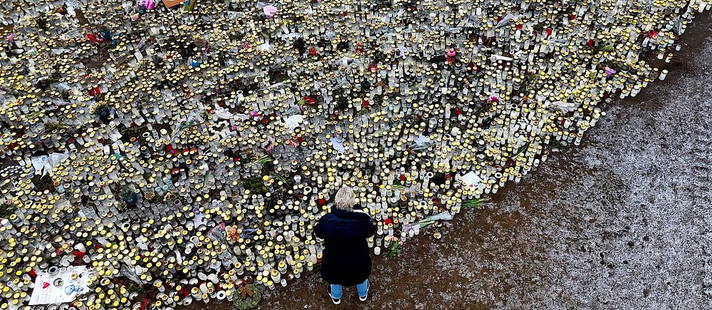 En person står vid ett stort blomsterhav på en minnesplats.