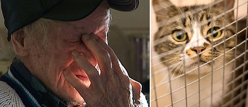 närbild på en gammal man  med handen delvis för ansiktet, samt en katt bakom galler