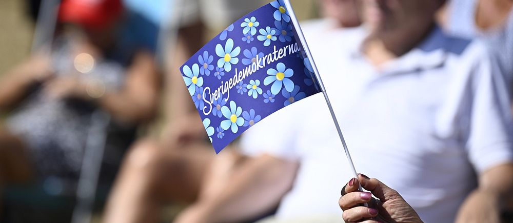 Sverigedemokraterna flagga