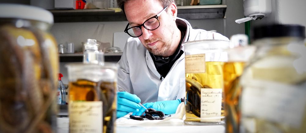 Laboratoriemiljö med forskare som undersöker prov med glasburkar i förgrunden.