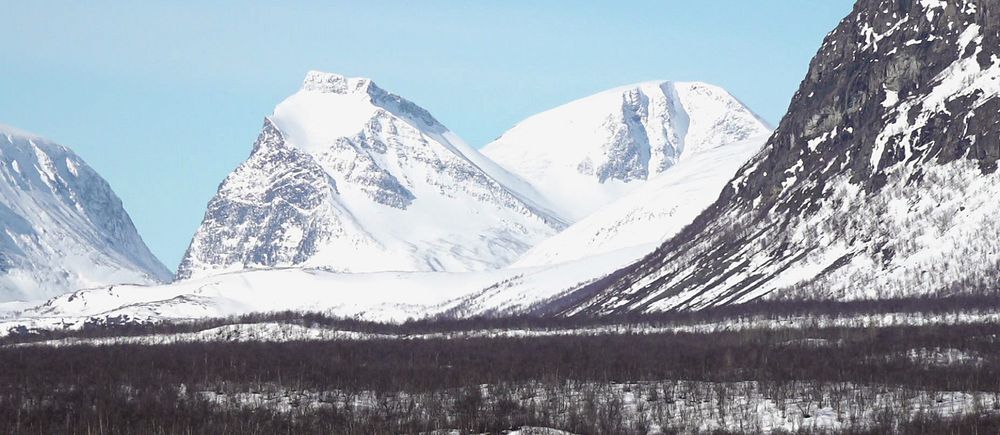 Kebnekaise. Snötäckta fjälltoppar med blå himmel i bakgrunden och skog i förgrunden.