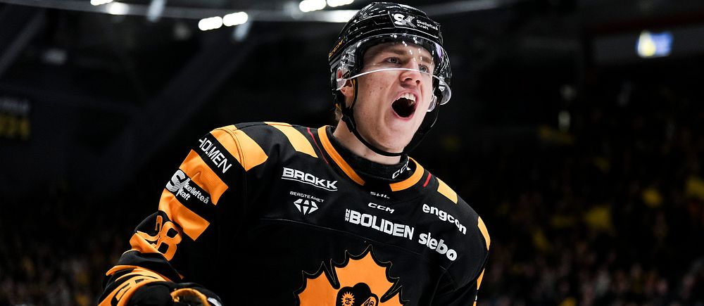 skellefteå aik