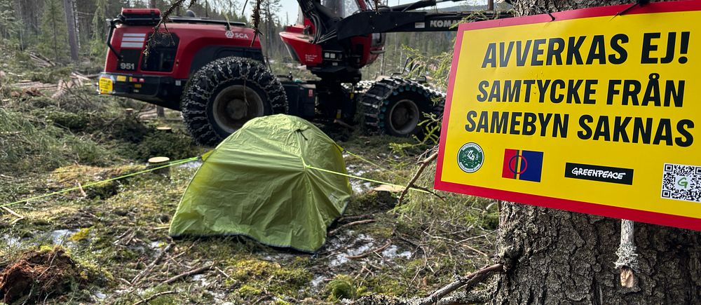 Skogsavverkning stoppas. Grön tält intill maskin, skylt protesterar mot avverkning utan samtycke.