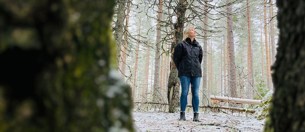 Helena Randefelt tittar upp på träden i skogen, där det sägs att Lucifers kyrka ska ligga i Lindesbergs kommun.