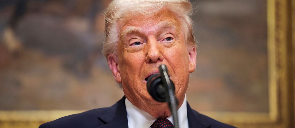 Donald Trump står framför mikrofon, rygg mot konstverk i guldram.