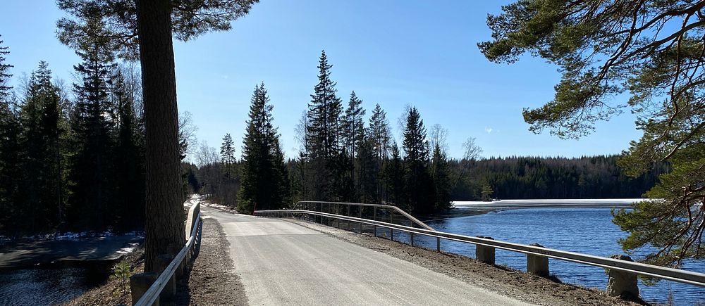 Grusväg över bro i soligt skogslandskap med sjö till höger.
