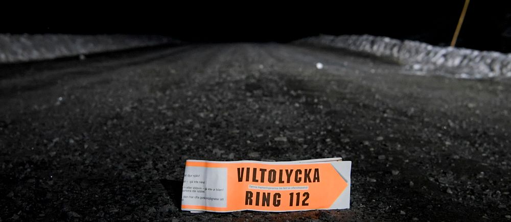Vägskylt med texten ”Viltolycka, ring 112” ligger på en mörk landsväg.