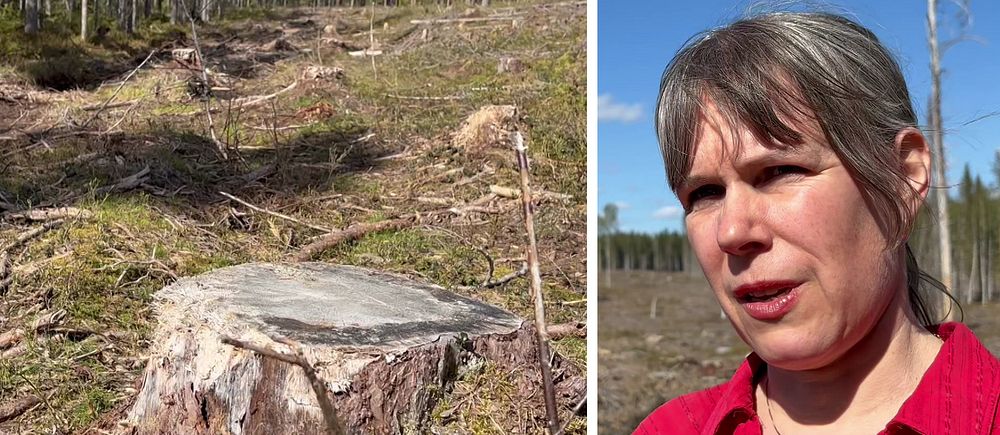 Ulrika Karlsson är besviken att hennes motioner om att bevara skogen röstades ner.