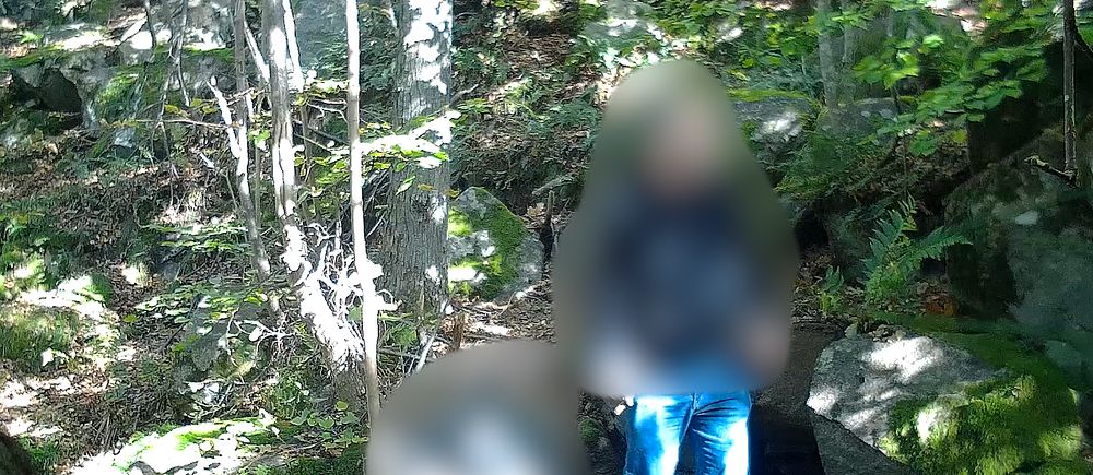 Två anonymiserade män i skogsmiljö.