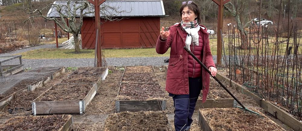 Julia Nikonova på kolonilotten där hon odlar lagringsbara grönsaker.