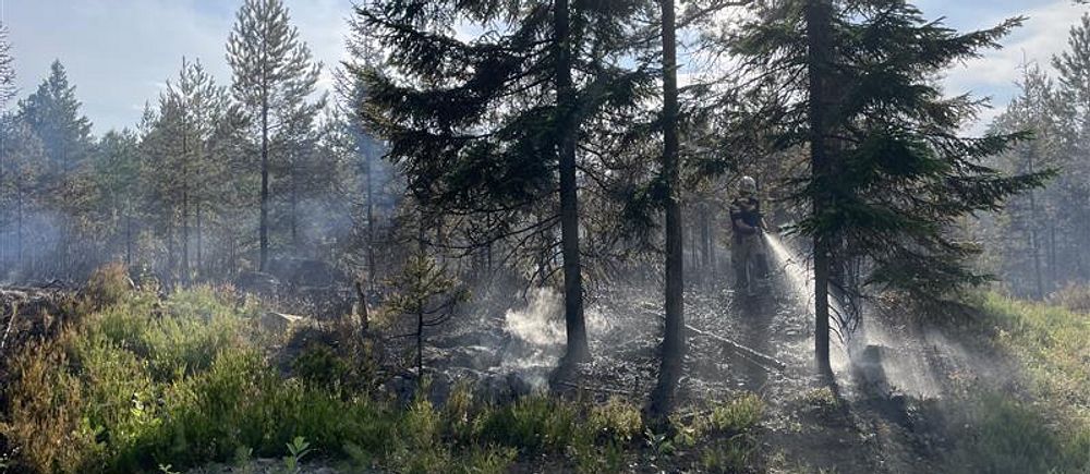 Rök och brandskador i skog utanför Garphyttan efter skogsbrand.