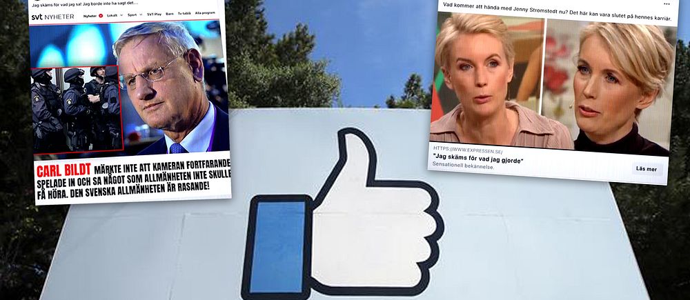 Delad bild. Bakgrund: stor facebook gilla-symbol. Vänster: fejkartikel med Carl Bildt Höger: fejkartikel med Jenny strömstedt