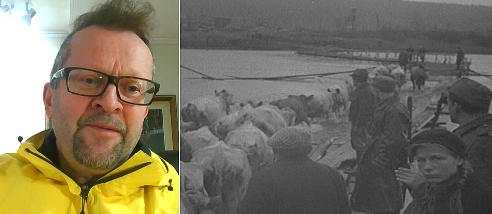 Till höger en svartvit bild: krigsflyktingar med sina boskap korsar Torne älv från finska Lappland till svenska Norrbotten. Till vänster historikern Mika Kulju.