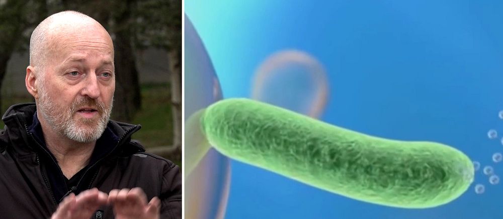 Delad bild. Till vänster: person gestikulerar utomhus. Till höger: illustration av en bakterie.