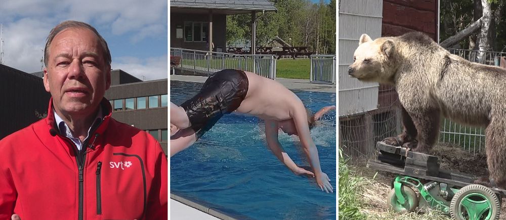 Reporter Anders Hansson, en kille som dyker ner i en pool och en permobjörn på en mässa.
