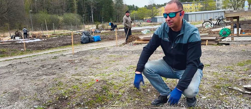 En man knäböjer på en odlingsplats, andra personer arbetar i bakgrunden.