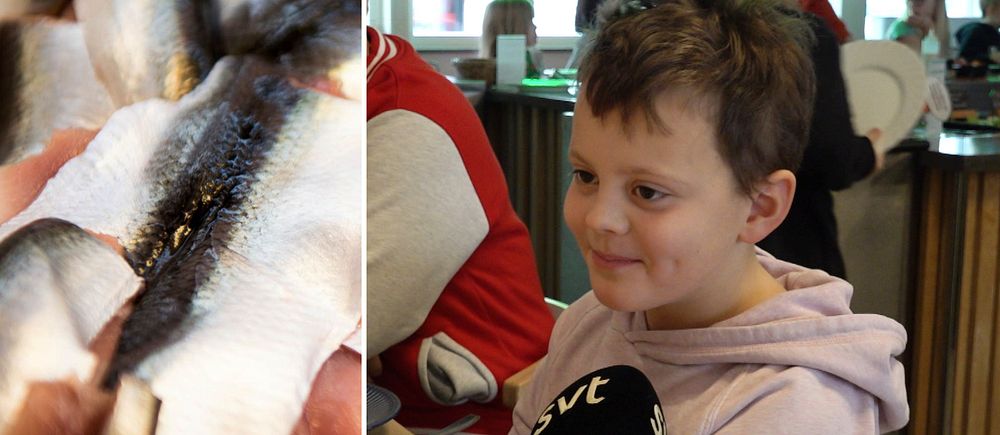 Till vänster en bild på rå filead sill och till höger eleven Viktor Kardell som går i trean på Skönsmons skola i Sundsvall