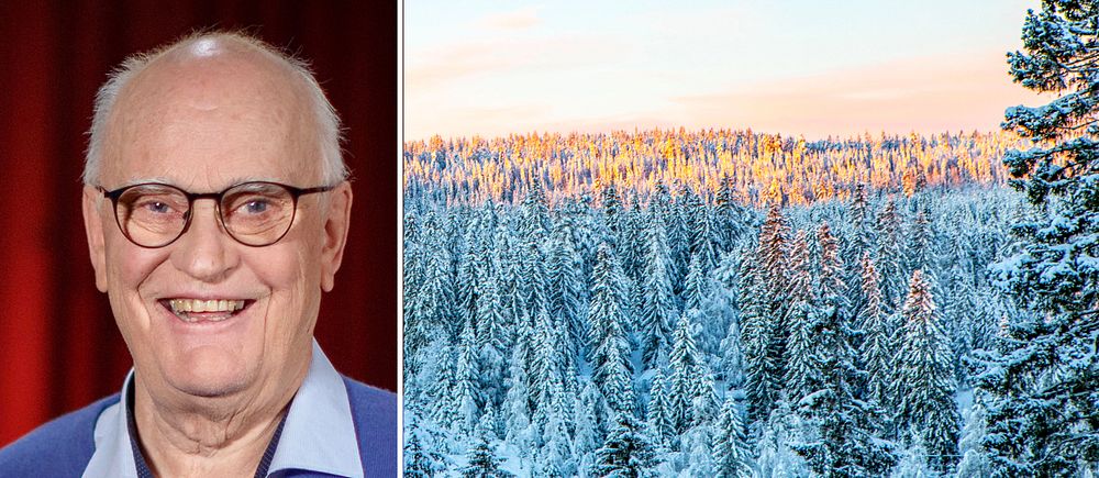 Äldre skallig man med glasögon och blå tröja och skjorta. Till höger vybild över granskog vinter